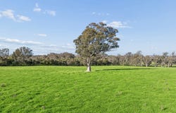 "Yellowbox", 606 Longrail Gully Road, Murrumbateman, NSW 2582