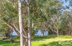 14 Beach Road, Lemon Tree Passage, NSW 2319
