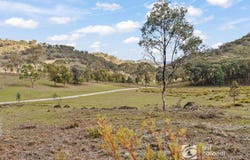 344 Windeyer Road, Mudgee, NSW 2850