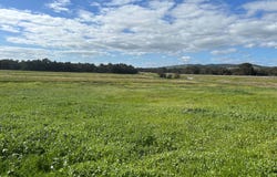 9 & 75, 42 Orchard Road, Burekup, WA 6227