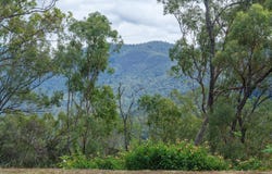 Cedar Creek, Qld 4520