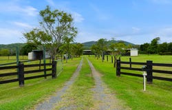 3217 Beaudesert Nerang Road, Biddaddaba, Qld 4275