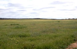 2370 Schubert Road, Kringin, SA 5304