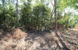 8 Pak Place, Wagait Beach, NT 0822