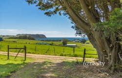 329 Mount Hicks Road, Wynyard, Tas 7325