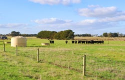 59 Gapes Road, Winslow, Vic 3281