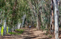 Lot 101, Wellard Green, Wellard, WA 6170