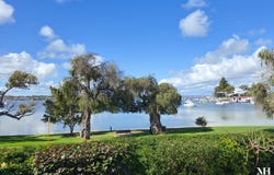 62 Irvine Street, Peppermint Grove, WA 6011