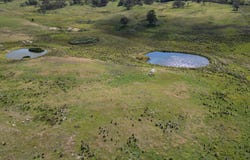 175 Tumbledown Road, Peak View, NSW 2630