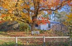 575 Old Tolmie Road, Barwite, Vic 3722