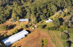 326 Billings Road, Tallowwood Ridge, NSW 2453