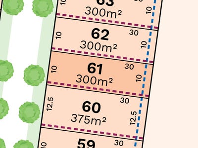 /international/au/lot-61-lot-61-oakvale-calderwood-nsw-204674796/