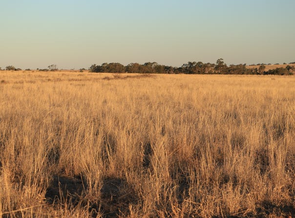564 Orallo Road, Roma, Qld 4455