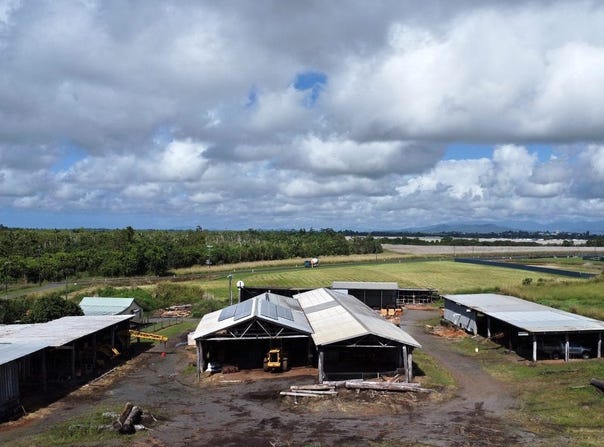 339 Flying Fish Point Road, Eaton, Qld 4860
