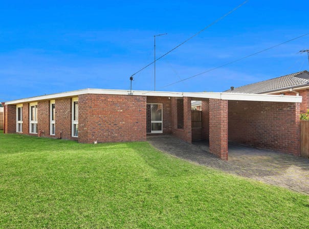 50 Walpole Avenue, Belmont, Vic 3216