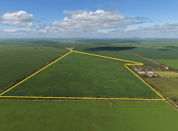 Kadina, SA 5554
