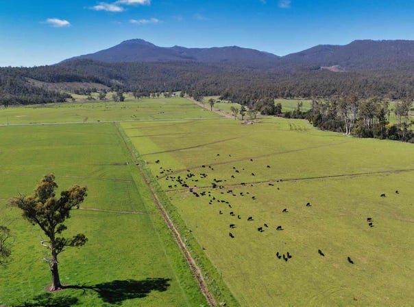 38791 Tasman Highway, Nunamara, Tas 7259