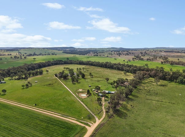 125 Holleys Lane, Gulgong, NSW 2852