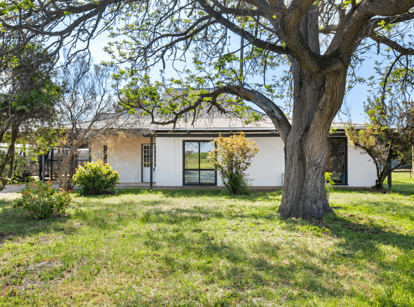 197 Culgoa Street, Renmark North, SA 5341