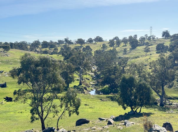 Lot 1, Brinkworth Range Road, Tungkillo, SA 5236