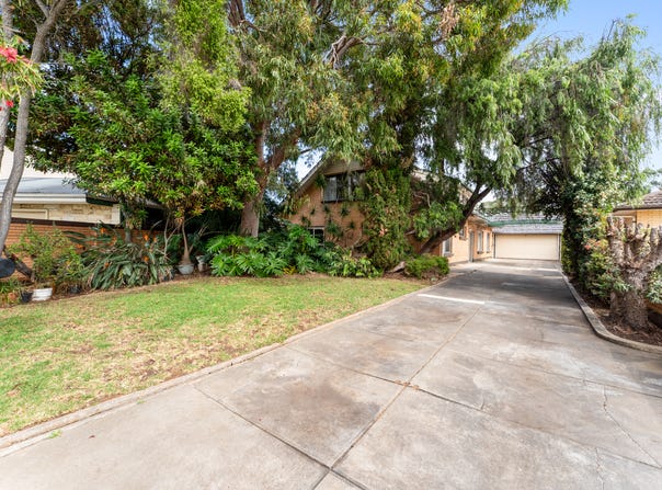 19 Dartmoor Street, Lockleys, SA 5032