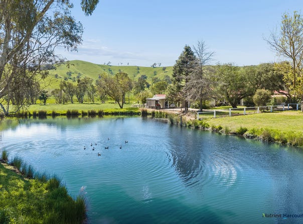 141 U T Creek Road, Alexandra, Vic 3714
