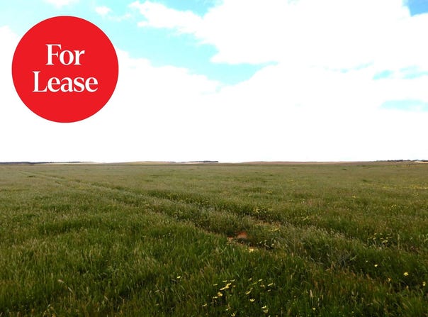 2370 Schubert Road, Kringin, SA 5304