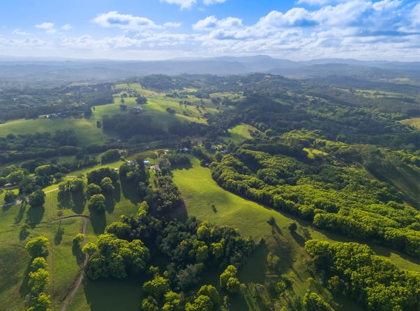 716 Binna Burra Road, Federal, NSW 2480