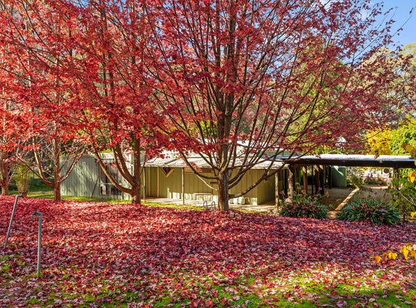 684 Tames Road, Strathbogie, Vic 3666