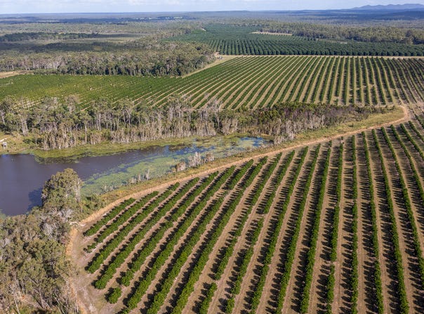 577 Boaga Road, Mullett Creek, Qld 4670
