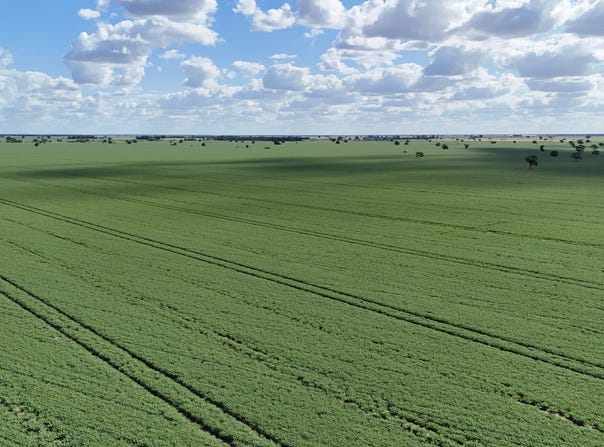 814 Murrays Road, Moree, NSW 2400
