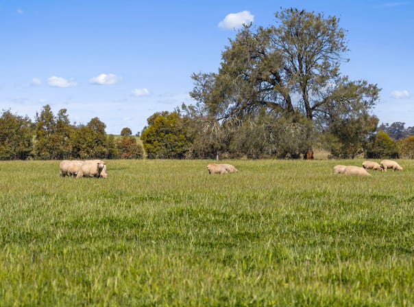 Tattersalls Lane, Moormbool West, Vic 3523
