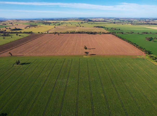 Cootamundra, NSW 2590