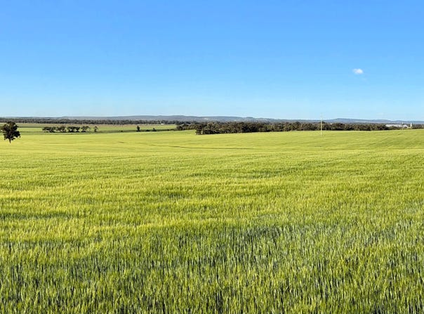 Binneguy Station, Biniguy, NSW 2399