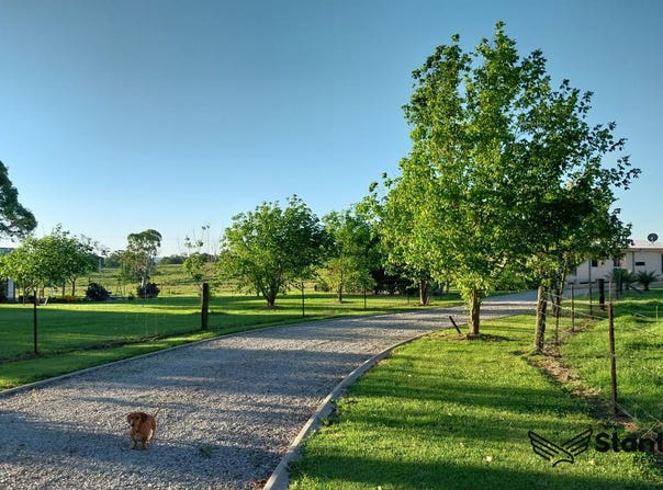 5379 Mount Lindesay Road, Liston, NSW 2372