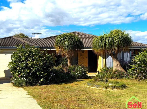 67 Frond Circuit, Banksia Grove, WA 6031