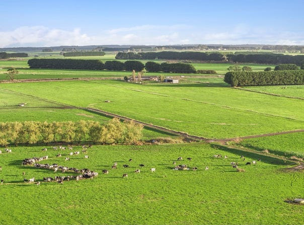 801 Timboon-Colac Road, Jancourt East, Vic 3266