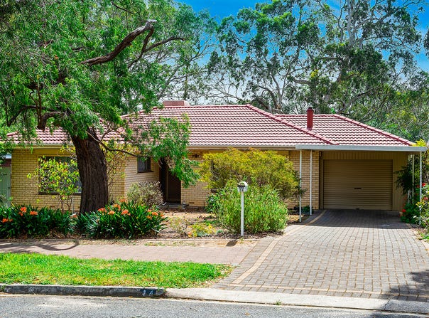 14 Greenwood Drive, St Agnes, SA 5097