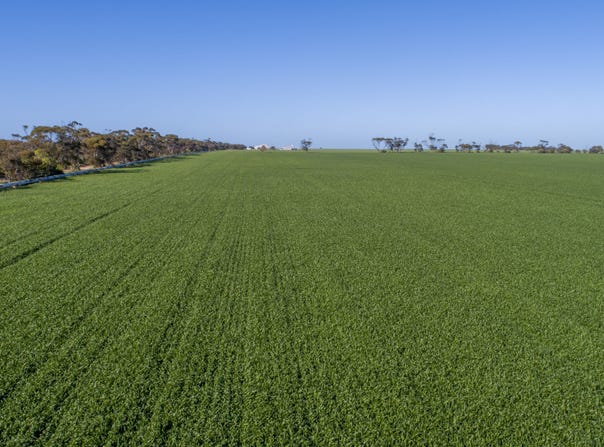 'Rudds' Allotment 81 Ardrossan Road, Maitland, SA 5573