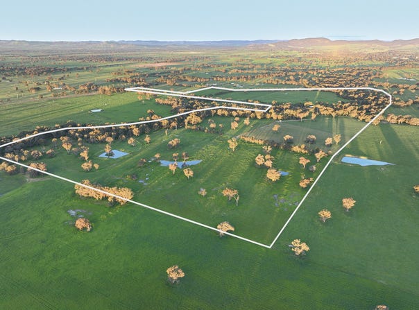547 Culcairn Holbrook Road, Holbrook, NSW 2644