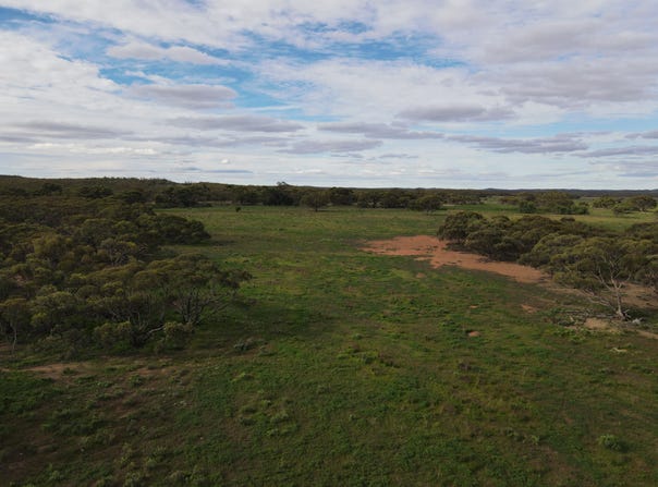 Pine Creek Road, Parnaroo, SA 5422