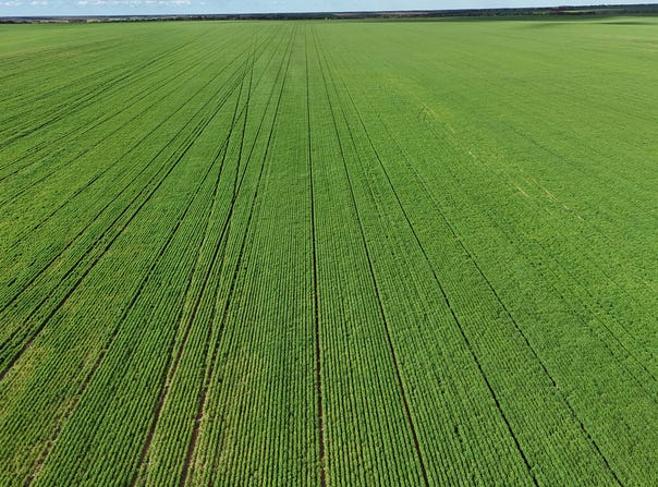 'Galick Ridge' Parallel Road, Walpeup, Vic 3507