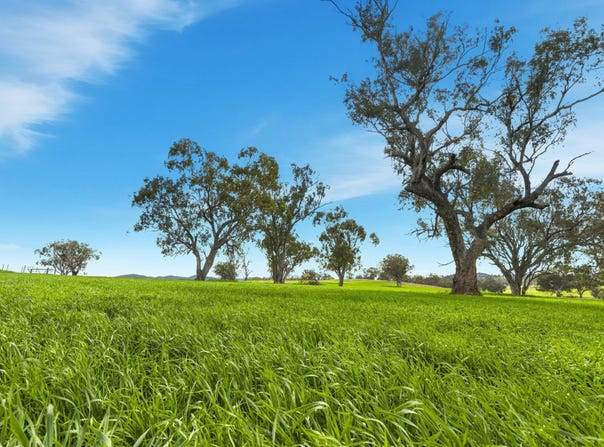 9091 Mitchell Highway, Wellington, NSW 2820