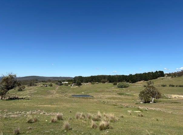 175 Tumbledown Road, Peak View, NSW 2630