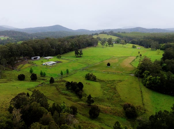 372 Bril Bril Road, Rollands Plains, NSW 2441