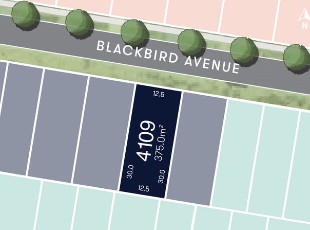 4109 Blackbird Ave, Warnervale, NSW 2259