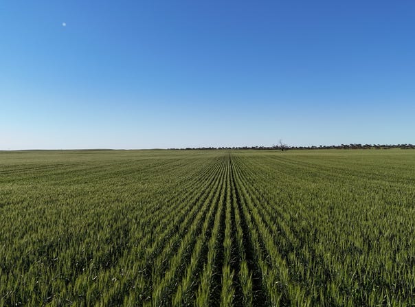 'Blyth Block' Sectio Wandel Road, Blyth, SA 5462
