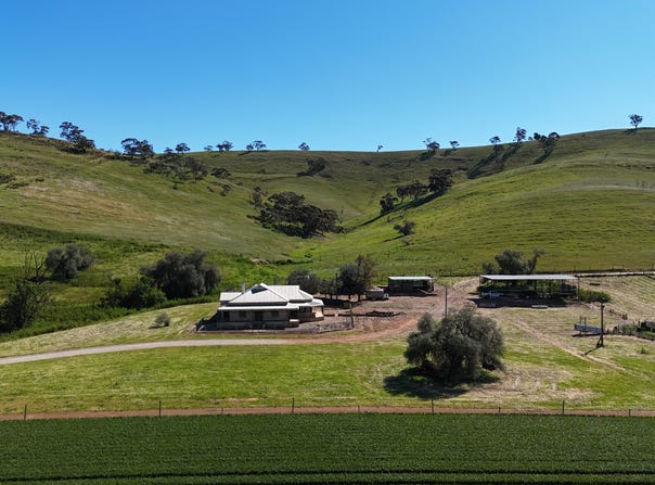 'Hillside' 395 Campbell Range Road, Washpool, SA 5454