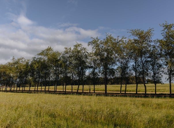 Springfield Farm, Yallingup, WA 6282