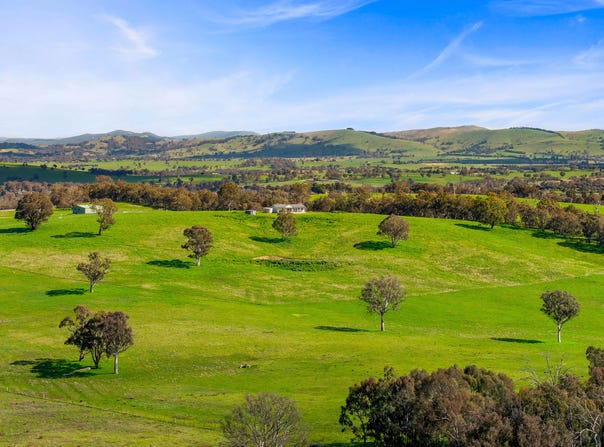 91 Walls Junction Road, Bowning, NSW 2582